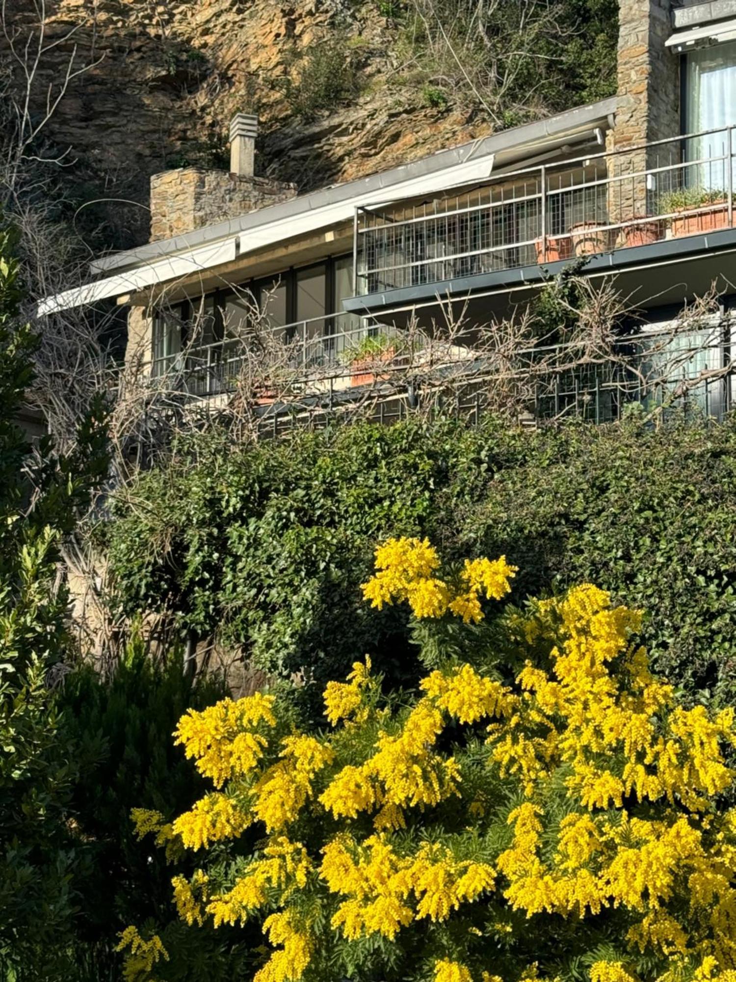 Florence Rock Apartment מראה חיצוני תמונה